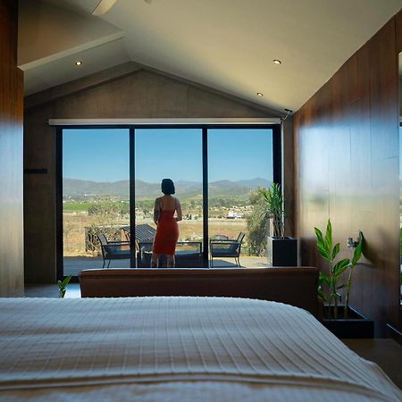 Bajo Estrellas Hotel Contemporaneo Валье-де-Гуадалупе Экстерьер фото