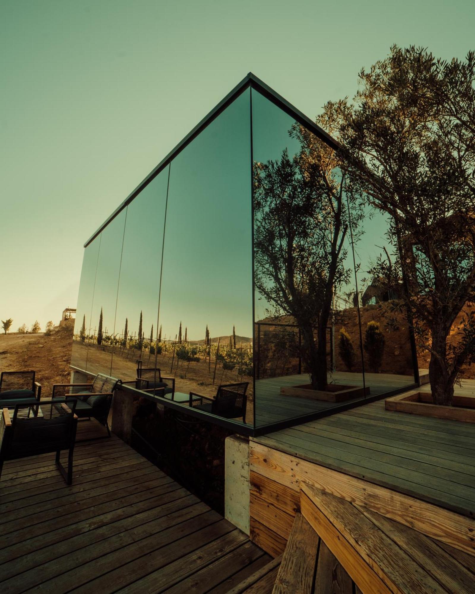 Bajo Estrellas Hotel Contemporaneo Валье-де-Гуадалупе Экстерьер фото